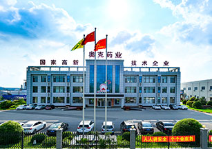 辽宁不朽情缘药业股份有限公司